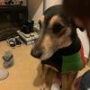 fernandacerri751 - @fernandacerri751 - TikTok