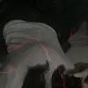 Fernanda Clemente - @fernandaclement94 - TikTok