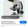 Fernanda Dasilva - @fernandadasilva778 - TikTok