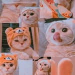 Nandita_Fernanda. - @fern.andaegas15 - Instagram