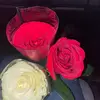 Fernanda - @francofernanda4 - TikTok