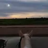 Fernanda Galvez - @fernandagalvez167 - TikTok