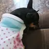 Fernanda Gold - @fer.gold.18 - TikTok