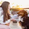 fernanda harth - @fernandaharths - TikTok