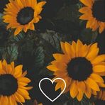 Fernanda Madrid - Facebook