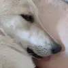 Fernanda Moniz - @fernandamoniz2 - TikTok