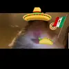 fernanda.prado - @fer.nanda_luv - TikTok