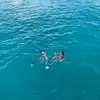 Fernanda - @fernanda.raposo - TikTok