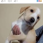 Fernanda Veiga - Facebook