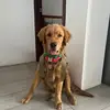 Fernanda🫶🏻 - @fernandazapata588 - TikTok