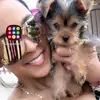 _lee_fernandez_ - @_lee_fernandez_ - TikTok