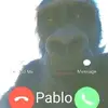 you fat monkey 🐒 - @fernandoabrego911 - TikTok