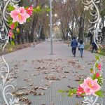Rafael Fernando Abrigo Vallejos - @fabrigovallejosgmail.c - Instagram