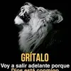 Fernando Alamilla - @fernando.alamilla - TikTok