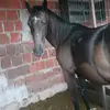 Fernando Albuquerque - @fernandoalbuquerque02 - TikTok