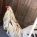 Fernando Angulo - Facebook