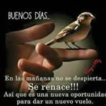 Fernando Arreguin - @fernando.arreguin.169 - Instagram