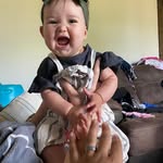 Fernando Artiga - @artigafernando - Instagram