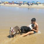 Fernando Avelar - @fernando_avelar22 - Instagram