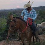Fernando Avelar - @fernando_avelar - Instagram