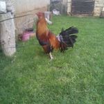Fernando Avendaño - @fernando.avendano.520562 - Instagram