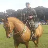 fernandobalbi8 - @fernandobalbi8 - TikTok