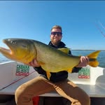 luiz fernando - @fernando_balbidi - Instagram
