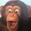 Fernando Barnett727 - @fernandobarnett72 - TikTok