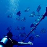 Fernando Baron - @fbaron.01 - Instagram