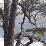 Fernando Baron - @fernando.baron.794 - Instagram