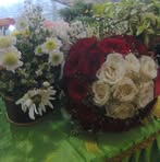 Bella Fernando - Facebook