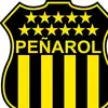 fernandobellusci - @fernandobellusci - TikTok