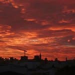 Fernando Belmonte - @fernandobelmonte54 - Instagram