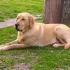 Fernando Belmonte - @fernando.belmonte3 - TikTok