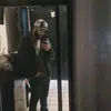 ..... - @fernandobelmonte42 - TikTok
