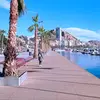 Fernando Fernández Bennett - @ferferbennett - TikTok