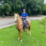 Fernando Bernardes - @fernandobernardes162 - Instagram