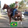 RANCHO BELA VISTA. RBV. - @fernandobernardorbv - TikTok