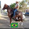 RANCHO BELA VISTA. RBV. - @fernandobernardorbv - TikTok