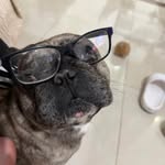 Fernando Boullon - @fernandoboullon - Instagram