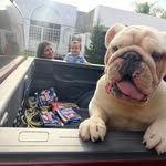 Fernando Buenrostro - @ferburo10 - Instagram