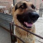 Fernando Bugarin Jimenez - @fernandobugarinjimenez - Instagram