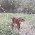 Fernando Calvo - Facebook