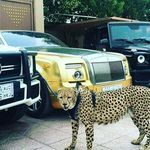 fernando cannon - @nisi724 - Instagram