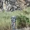 Fernando cañon - @fernando.caon62 - TikTok
