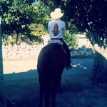 Fernando Canul - @fernando.canul.3914 - Instagram