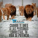 fernando carpio arango - @fernandocarpioarango - Instagram