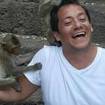 Fernando Casal - @fernandocasalok - Instagram