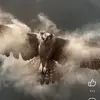 fernandocasarez - @fernandocasarez - TikTok