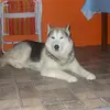 fernando caspers - @fernando.caspers - TikTok